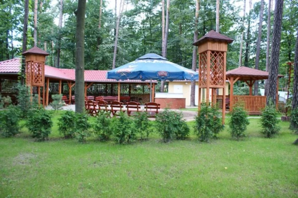 Zdjęcie 