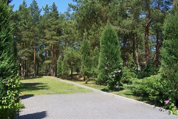 Zdjęcie 