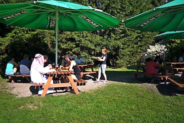 Zdjęcie 