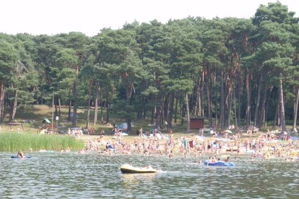 Zdjęcie 