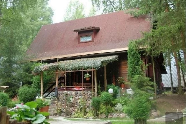 Zdjęcie 