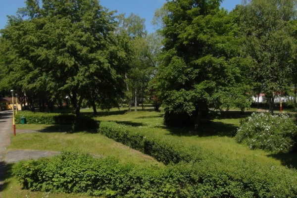 Zdjęcie 