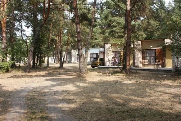 Zdjęcie 