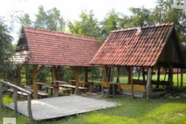 Zdjęcie 