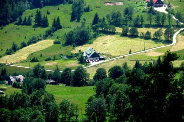 Zdjęcie 