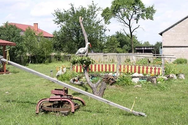 Zdjęcie 