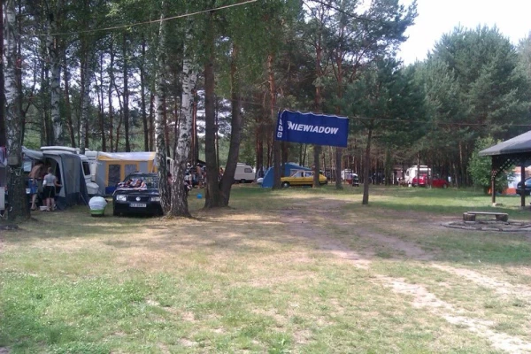 Zdjęcie 