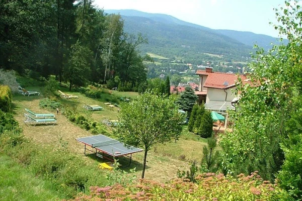 Zdjęcie 