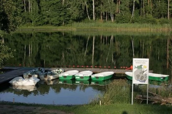Zdjęcie 