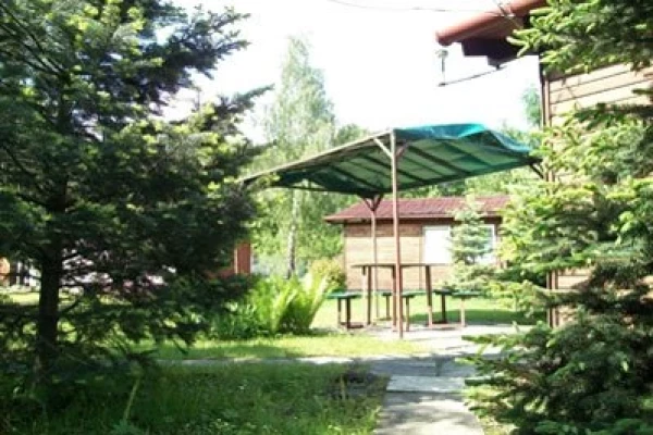Zdjęcie 