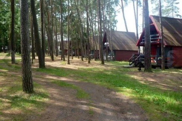 Zdjęcie 