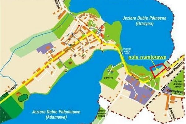 Zdjęcie 