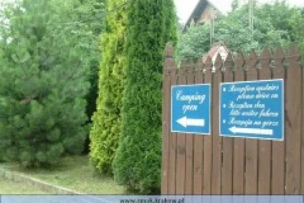 Zdjęcie 