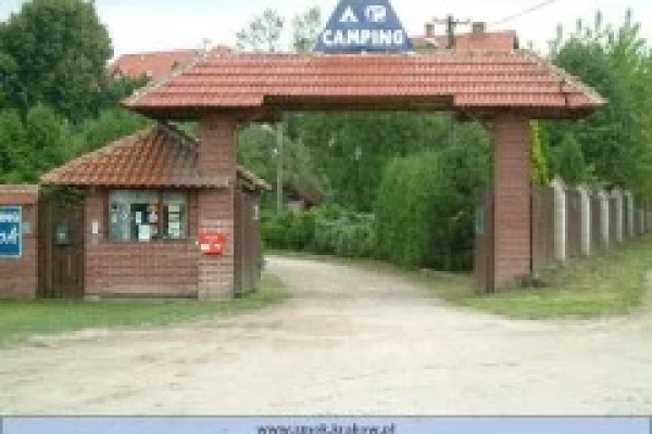 Zdjęcie 
