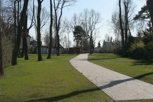 Zdjęcie 