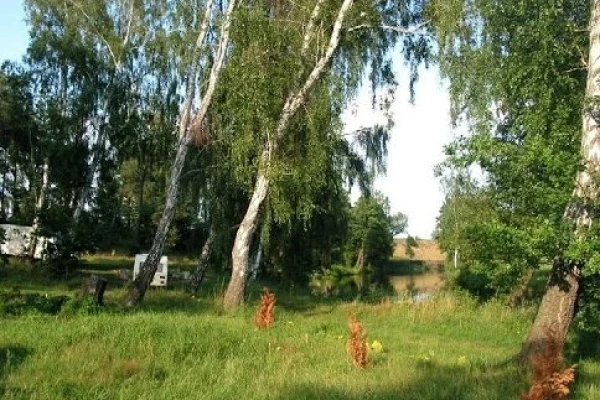 Zdjęcie 