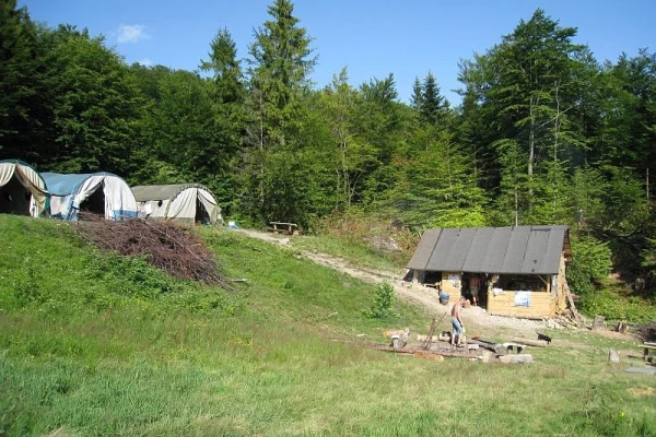Zdjęcie 