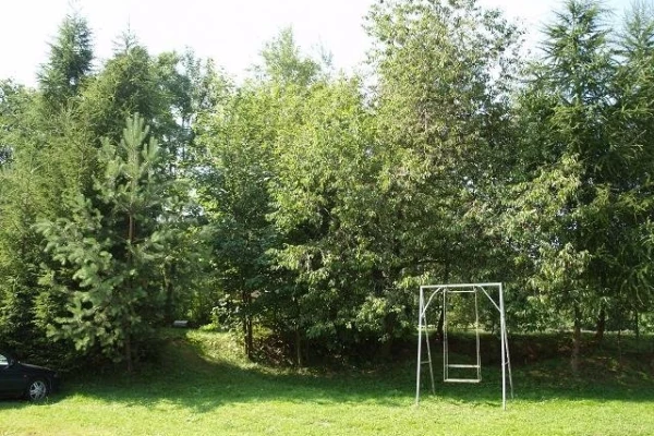 Zdjęcie 