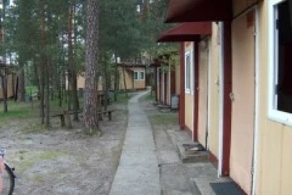 Zdjęcie 