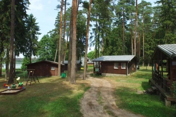 Zdjęcie 
