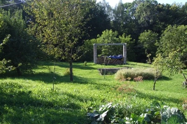 Zdjęcie 