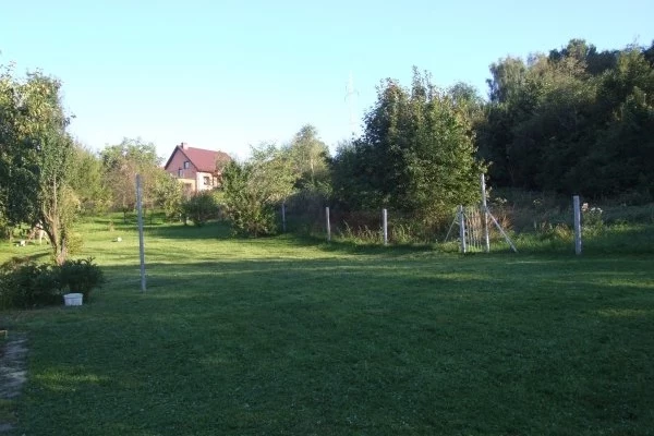Zdjęcie 