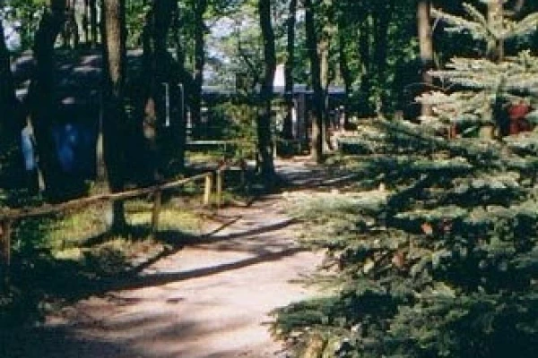 Zdjęcie 