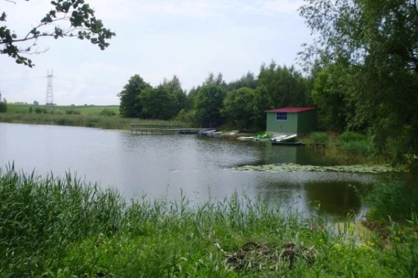 Zdjęcie 