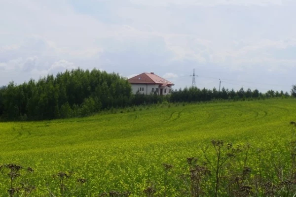 Zdjęcie 