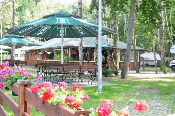 Zdjęcie 