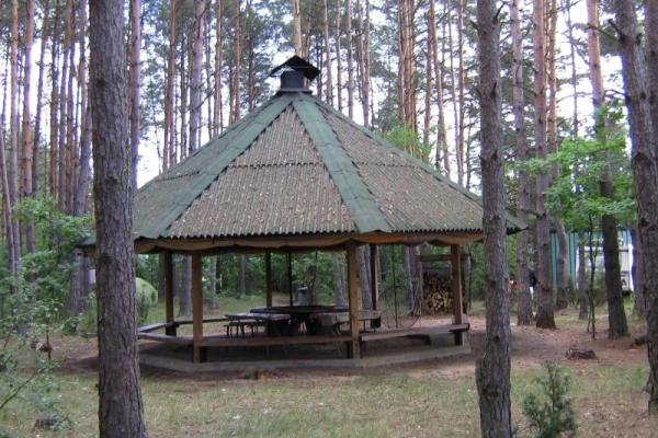 Zdjęcie 