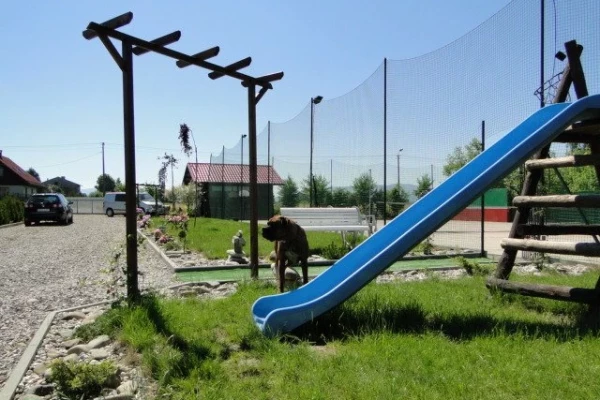 Zdjęcie 