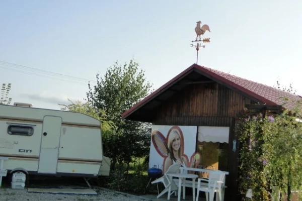 Zdjęcie 