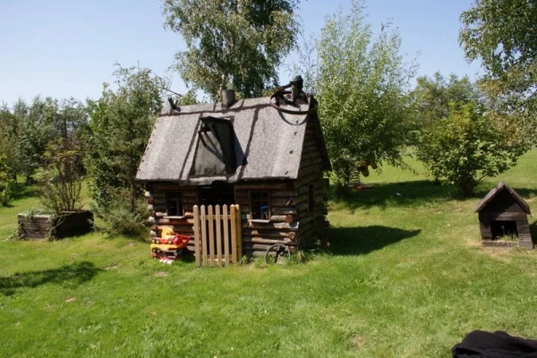 Zdjęcie 