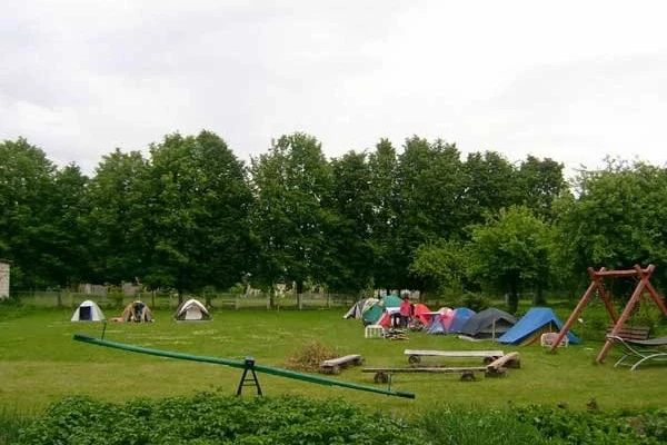 Zdjęcie 