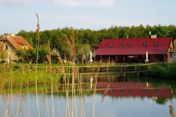 Zdjęcie 