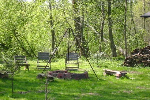 Zdjęcie 