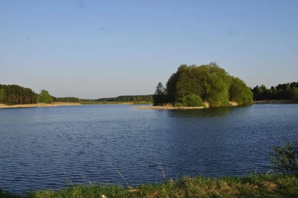 Zdjęcie 