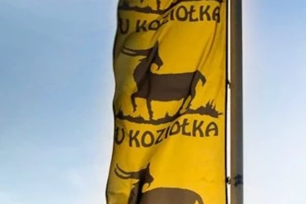 Zdjęcie 
