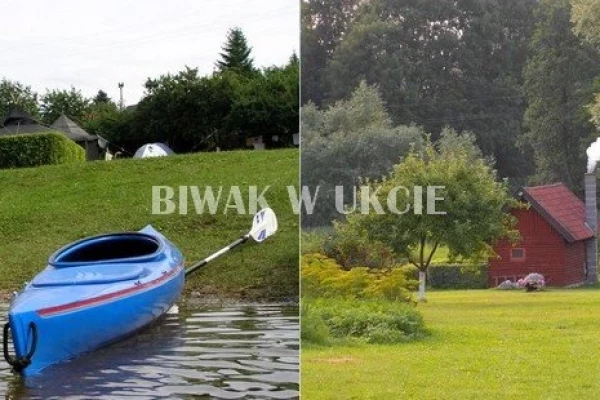 Zdjęcie 