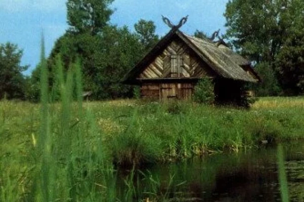 Zdjęcie 