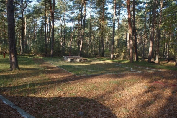 Zdjęcie 