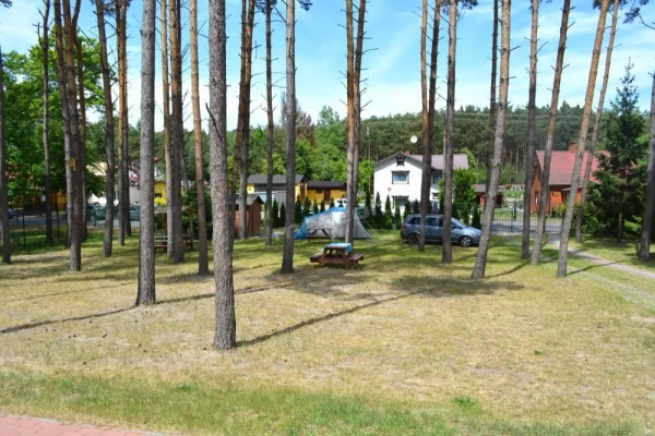 Zdjęcie 