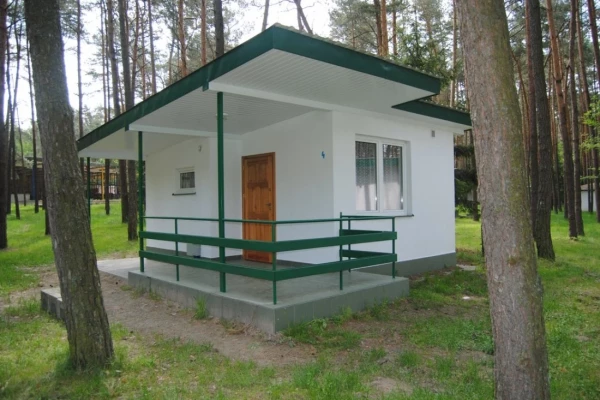 Zdjęcie 