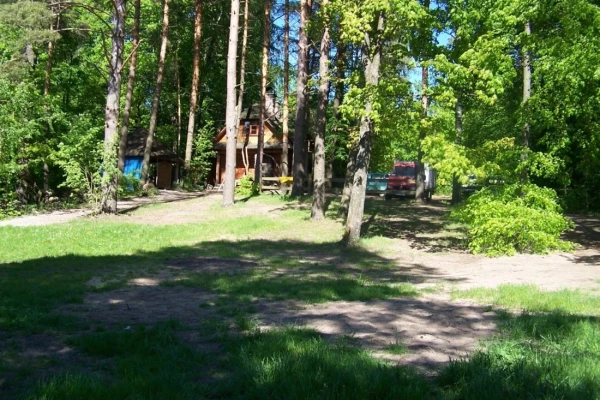 Zdjęcie 