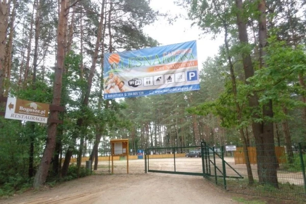 Zdjęcie 