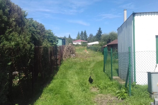 Zdjęcie 
