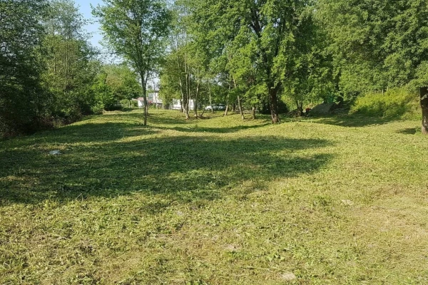 Zdjęcie 