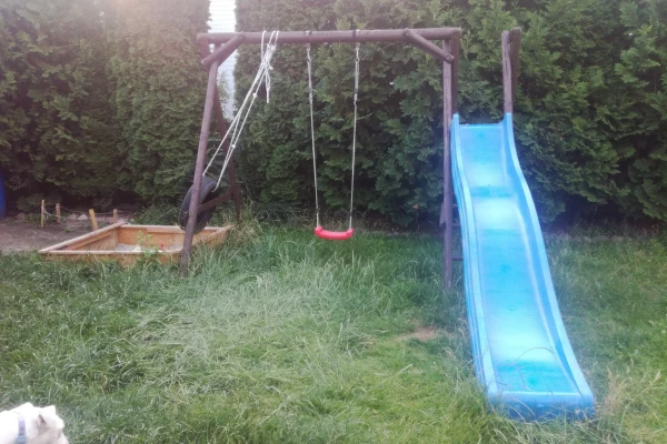 Zdjęcie 
