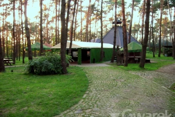 Zdjęcie 